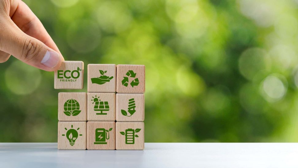 Circular Economy: Reducing Waste through Recycling and Upcycling